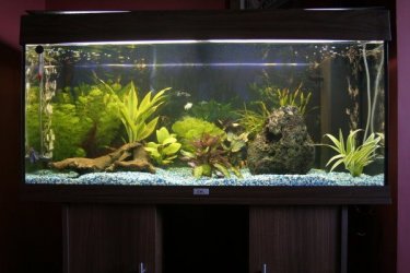 My_tank.jpg My_tank.jpg
