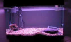 My_Tank_2.jpg My_Tank_2.jpg