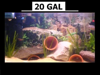0123.webp