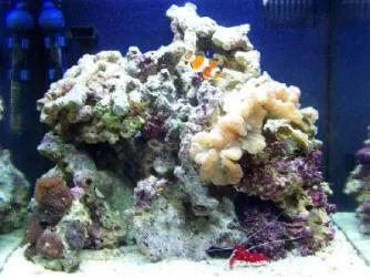 100_1464.webp 100_1464.webp