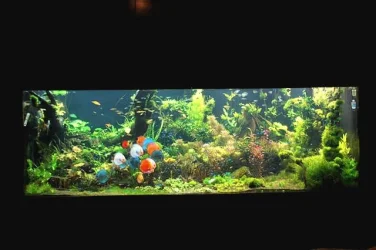 1600gallon_Dec.webp