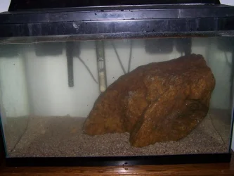 000_0063.webp