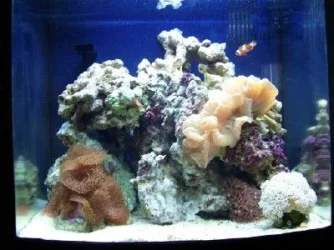 100_1477.webp