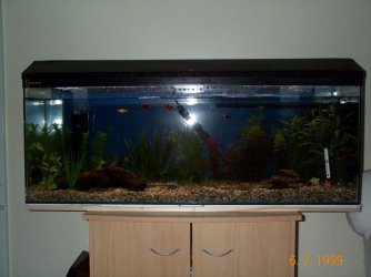 tank4.jpg tank4.jpg