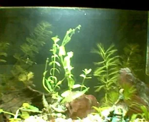 013.webp
