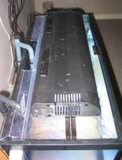 tankto010207.webp