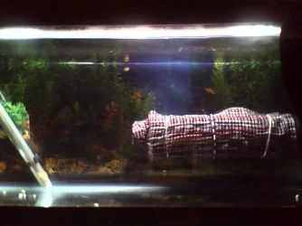 Picture_002.webp