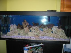 IMG_1177sml.JPG