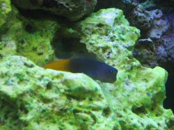 IMG_1347sml.JPG