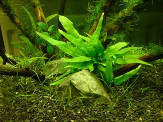 sDSC00230.webp