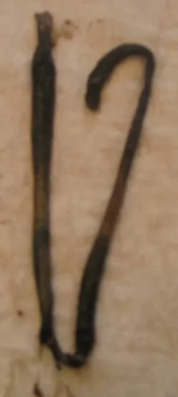 worm.webp