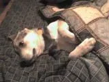 DSC00114.webp DSC00114.webp