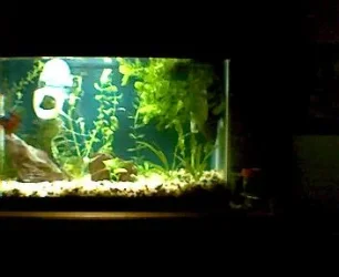 1_15_07.webp