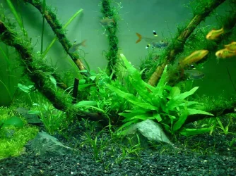 sDSC00258.webp