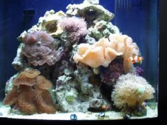 update_nano.webp