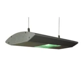 oceanlight150.webp