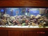 my_tank.webp