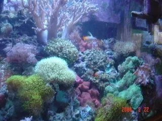 right_side.webp