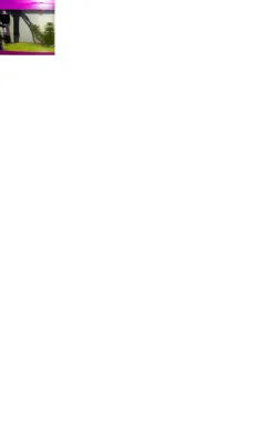 fishyu.webp