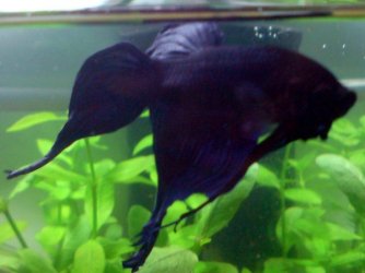 clamped.jpg clamped.jpg