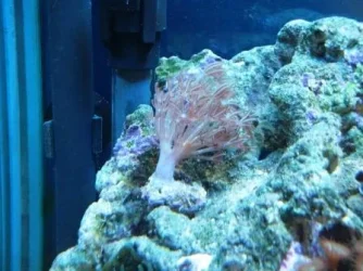 1191291954_l.webp