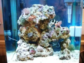 thetank________.webp
