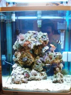 mytank29thjan.webp