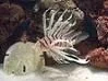 2007_01290118.webp