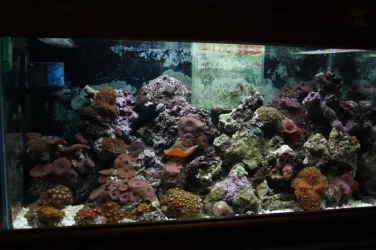 CRW_2599__Medium_.webp