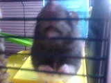 th_izzy3_2.webp