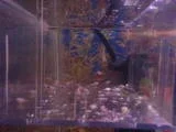 th_babies1_1.webp