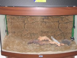 Tank_012.jpg