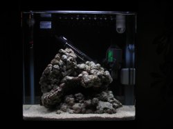 marine_start_up_pics__LR_added__006__Medium_.jpg marine_start_up_pics__LR_added__006__Medium_.jpg
