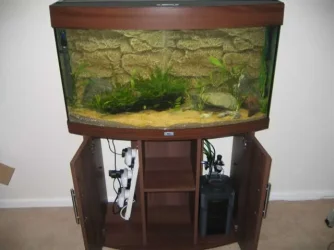 Tank_003.webp