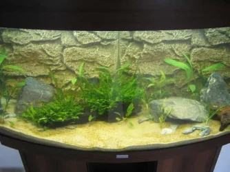 Tank_007.webp