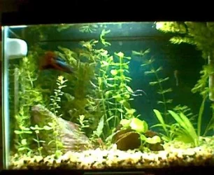 1_19_17_3.webp