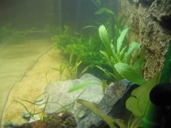 Tank_008.webp