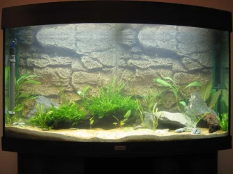 Tank_Day_1.webp
