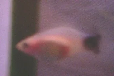 100_7786.webp