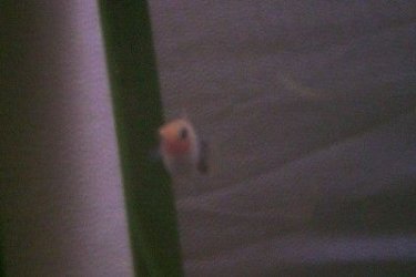 100_7784.jpg