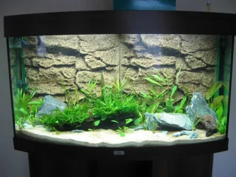 Tank_Day_7.webp Tank_Day_7.webp