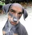 imagesq.webp