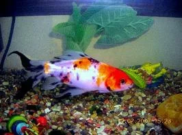 DSCN0124.webp