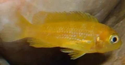 DSCF0047.webp