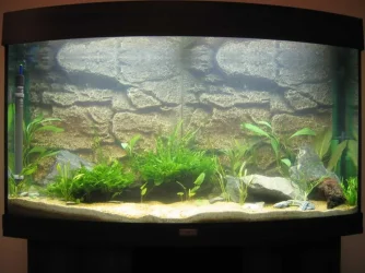 Tank_Day_1.webp Tank_Day_1.webp