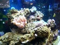 102_0494_edited_1.webp