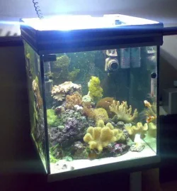 tank_whole.webp