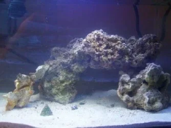 100_1511.webp 100_1511.webp