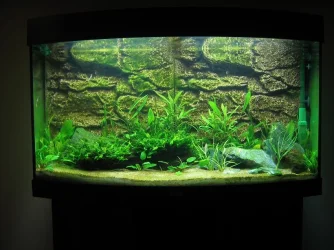 tank_001.webp tank_001.webp
