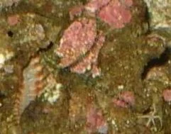 IMGP1312.webp